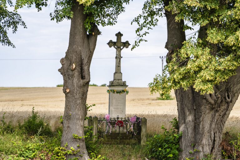 Maksymilian Rej-25177